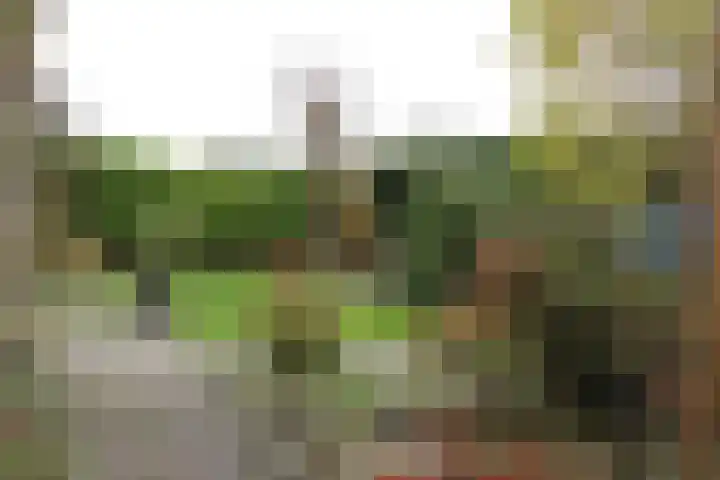 Singel 54 Nijland thumbnail 8