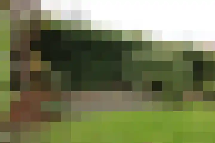 Singel 54 Nijland thumbnail 9