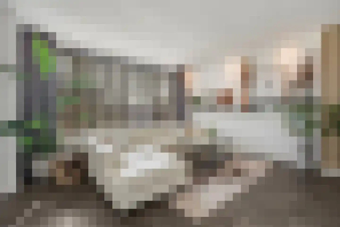 Singel 55 Vlissingen thumbnail 11