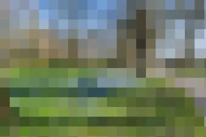 Singel 6 Deventer thumbnail 35