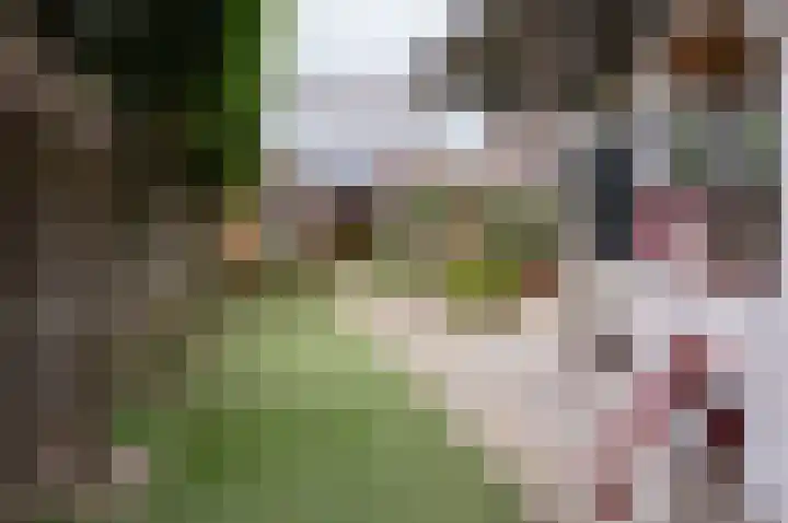 Singel 6 Hengelo (Gld) thumbnail 44