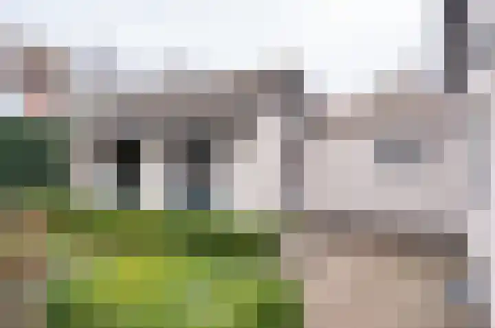 Singel 6 Hengelo (Gld) thumbnail 47