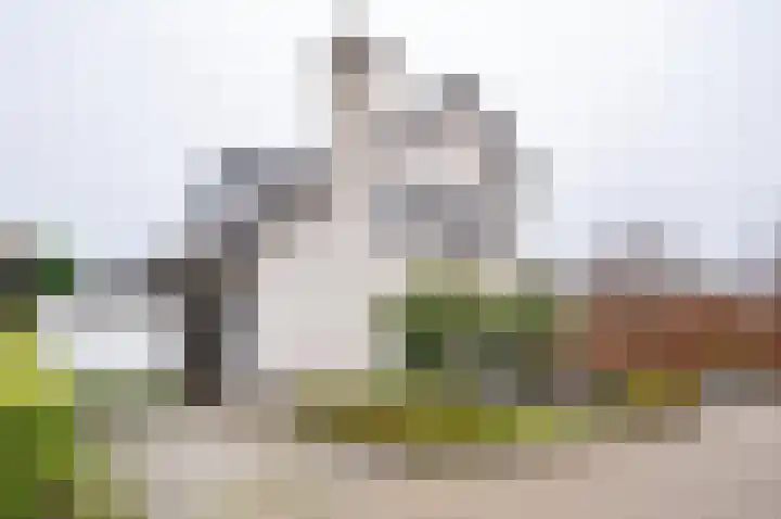 Singel 6 Hengelo (Gld) thumbnail 5