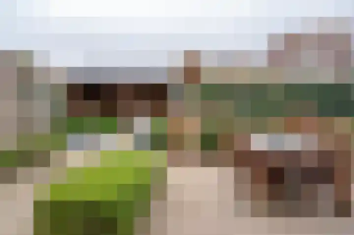 Singel 6 Hengelo (Gld) thumbnail 51