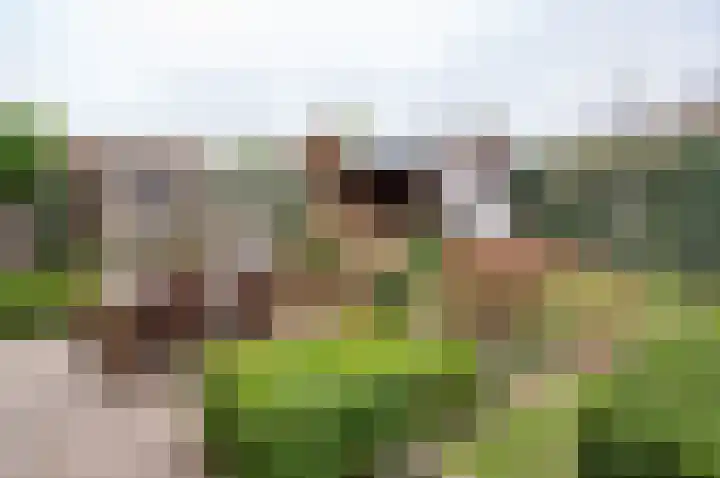 Singel 6 Hengelo (Gld) thumbnail 52