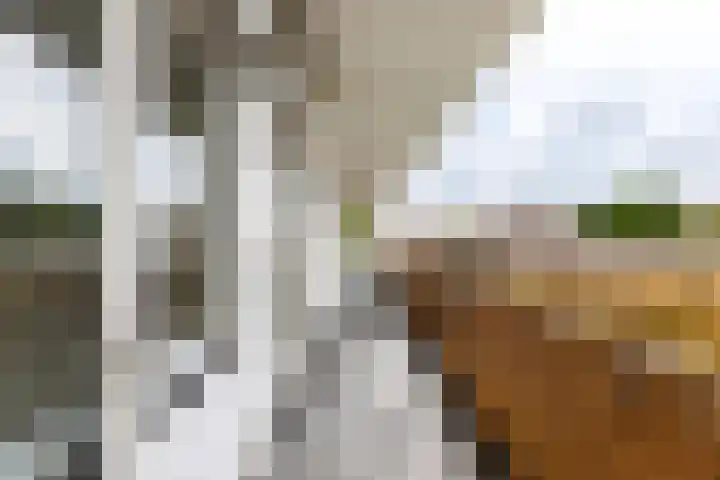 Singel 63 Vlissingen thumbnail 21