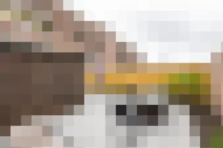 Singel 63 Vlissingen thumbnail 5
