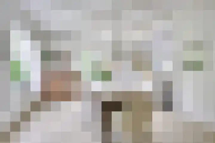 Singel 68 Odijk thumbnail 11