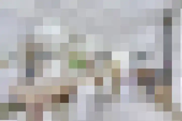 Singel 68 Odijk thumbnail 12