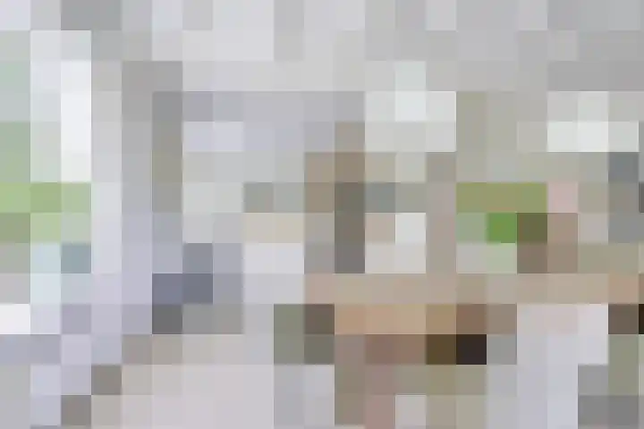 Singel 68 Odijk thumbnail 13