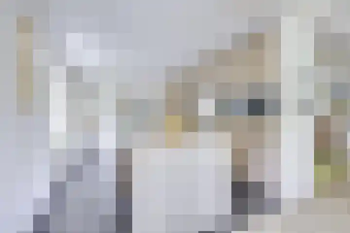 Singel 68 Odijk thumbnail 14