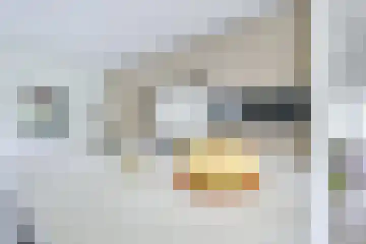 Singel 68 Odijk thumbnail 15