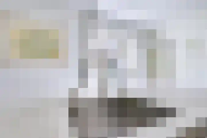 Singel 68 Odijk thumbnail 19