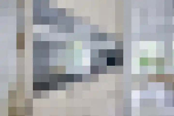 Singel 68 Odijk thumbnail 21