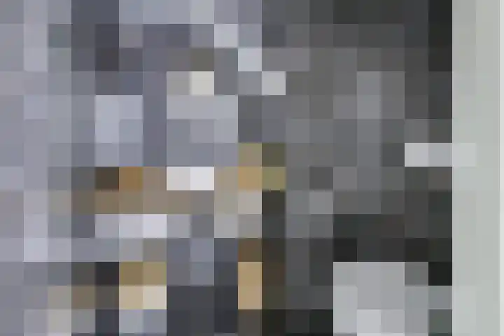 Singel 68 Odijk thumbnail 25