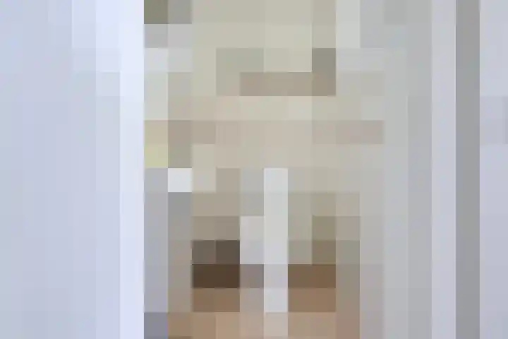 Singel 68 Odijk thumbnail 29