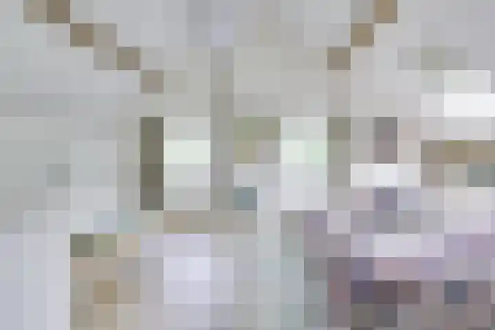 Singel 68 Odijk thumbnail 31