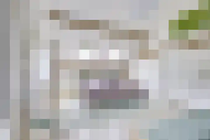Singel 68 Odijk thumbnail 33