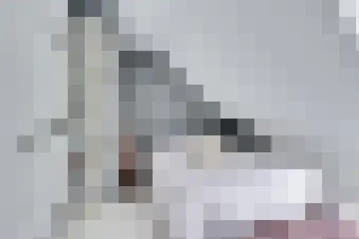 Singel 68 Odijk thumbnail 35