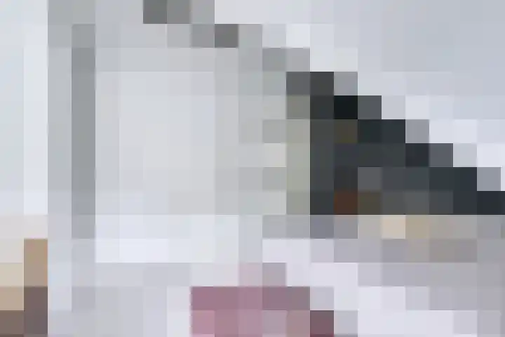 Singel 68 Odijk thumbnail 36