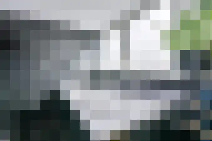 Singel 68 Odijk thumbnail 42