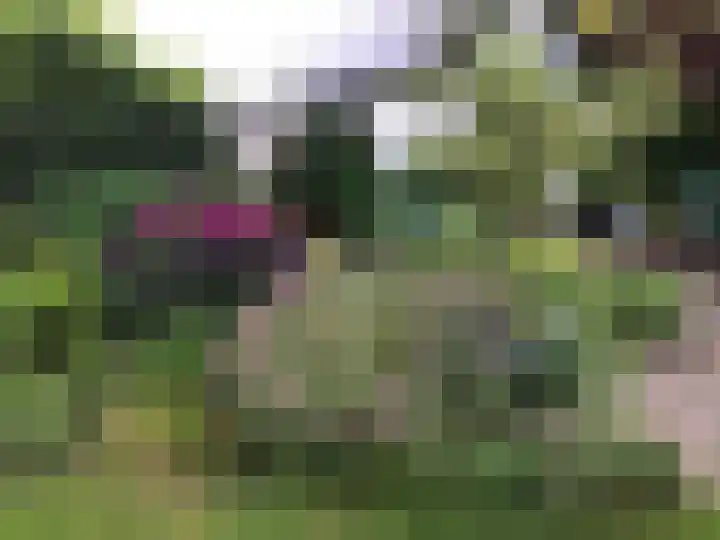 Singel 68 Odijk thumbnail 49