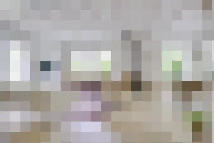 Singel 68 Odijk thumbnail 5