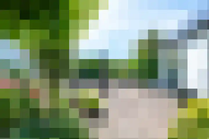 Singel 68 Odijk thumbnail 50