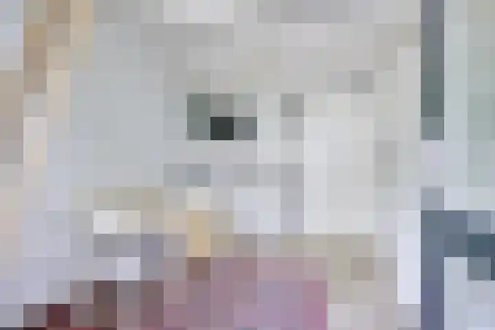 Singel 68 Odijk thumbnail 52