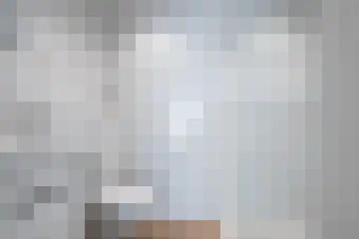 Singel 68 Odijk thumbnail 56