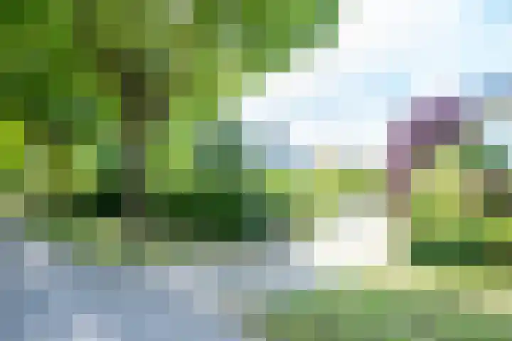 Singel 68 Odijk thumbnail 59
