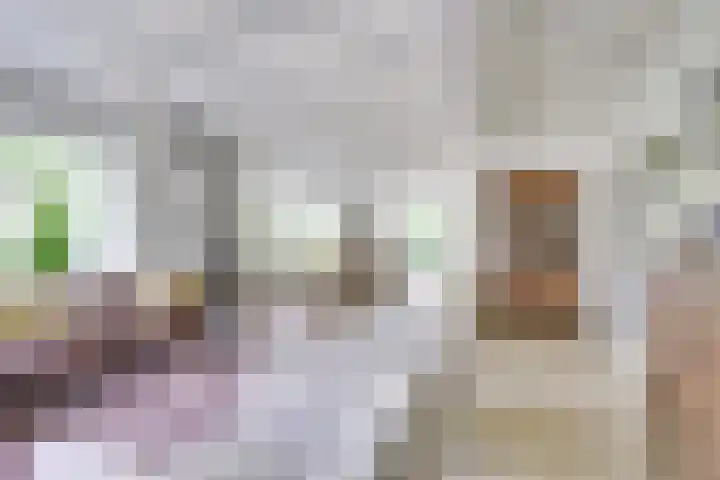 Singel 68 Odijk thumbnail 6