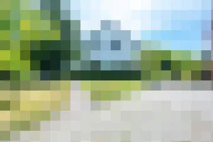 Singel 68 Odijk thumbnail 60