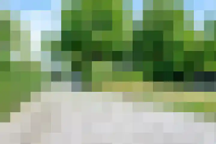 Singel 68 Odijk thumbnail 61