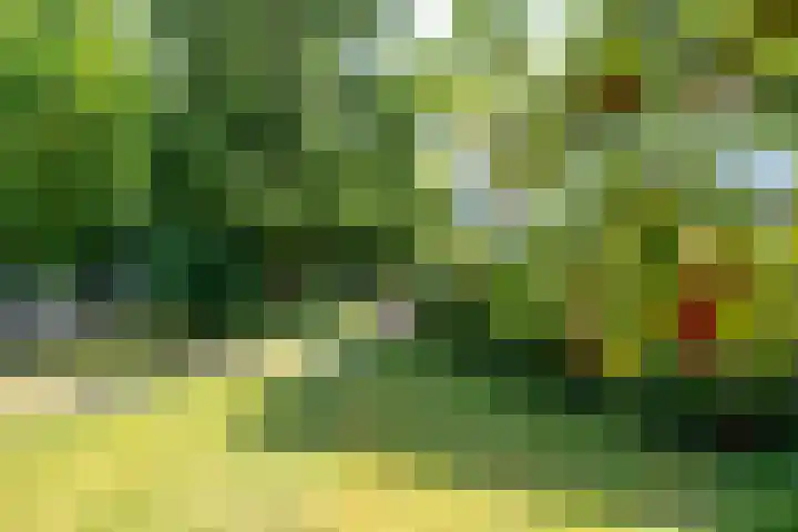 Singel 68 Odijk thumbnail 63