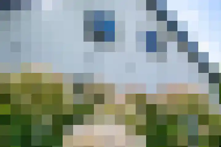 Singel 68 Odijk thumbnail 64