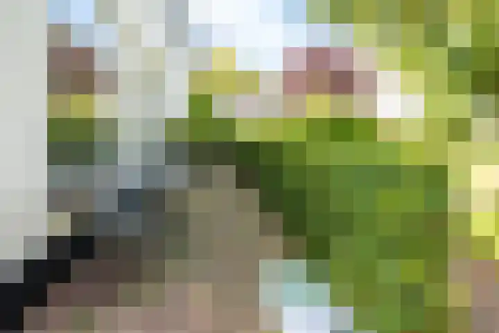 Singel 68 Odijk thumbnail 65