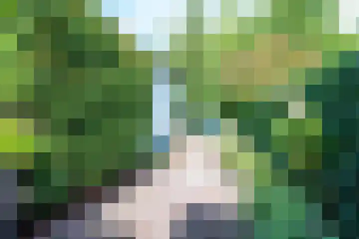 Singel 68 Odijk thumbnail 66