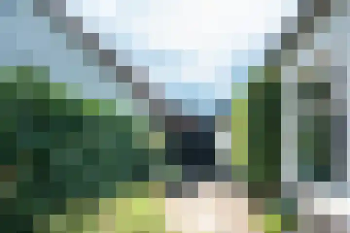 Singel 68 Odijk thumbnail 67