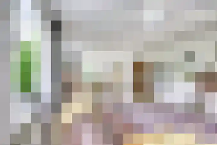 Singel 68 Odijk thumbnail 7