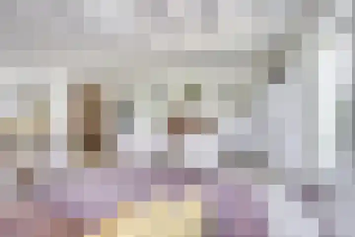 Singel 68 Odijk thumbnail 8