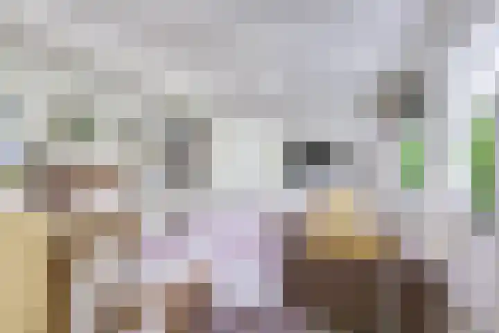 Singel 68 Odijk thumbnail 9