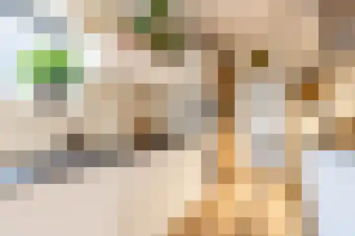 Singel 7 Beetsterzwaag thumbnail 17