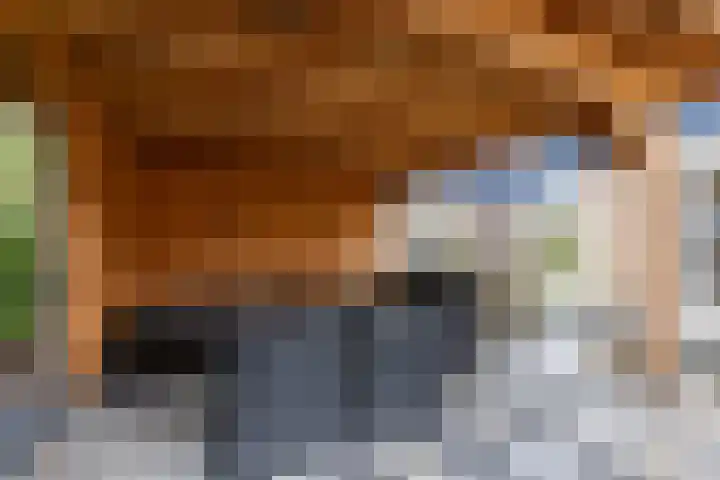 Singel 7 Beetsterzwaag thumbnail 37