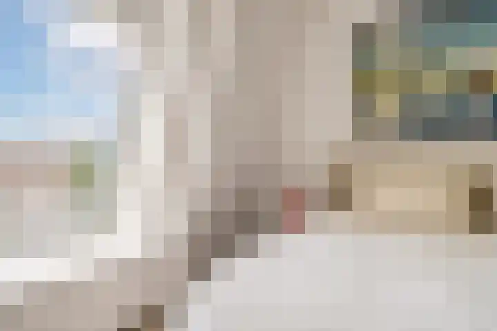 Singel 7 Noordeloos thumbnail 13