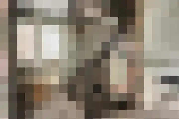 Singel 7 Noordeloos thumbnail 18