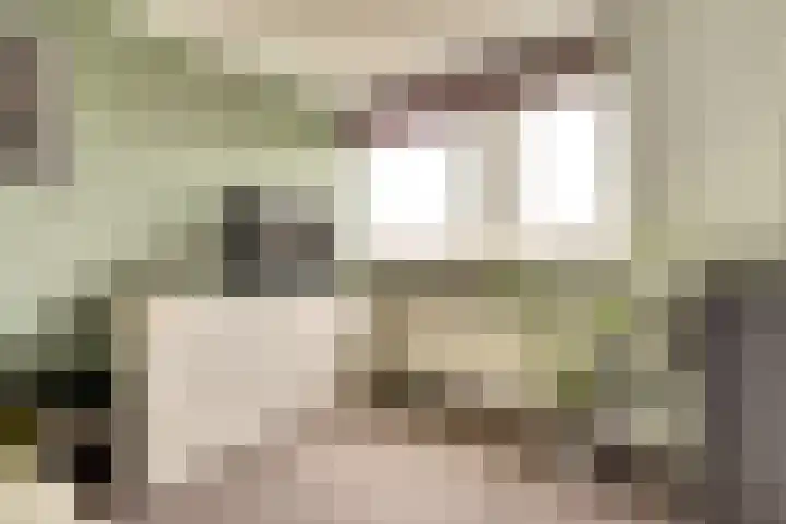 Singel 7 Noordeloos thumbnail 20
