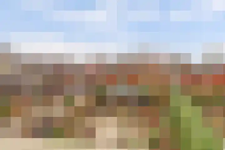 Singel 7 Noordeloos thumbnail 21