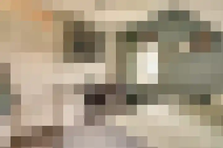 Singel 7 Noordeloos thumbnail 23