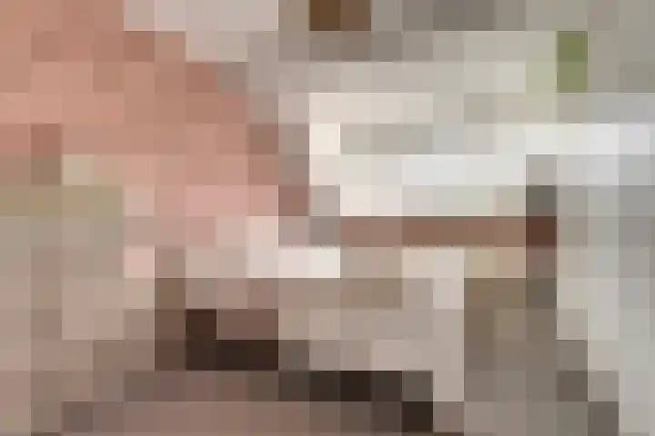 Singel 7 Noordeloos thumbnail 26